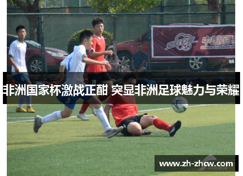 非洲国家杯激战正酣 突显非洲足球魅力与荣耀