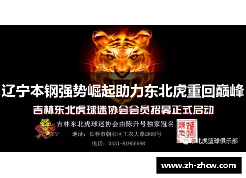 辽宁本钢强势崛起助力东北虎重回巅峰